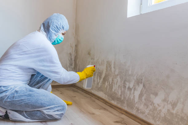 Mold Remediation specialist working in Rolling Meadows